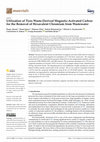 Research paper thumbnail of Utilization of Tires Waste-Derived Magnetic-Activated Carbon for the Removal of Hexavalent Chromium from Wastewater