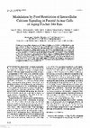 Research paper thumbnail of Modulation by Food Restriction of Intracellular Calcium Signaling in Parotid Acinar Cells of Aging Fischer 344 Rats