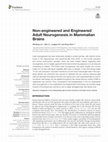 Research paper thumbnail of Non-engineered and Engineered Adult Neurogenesis in Mammalian Brains