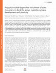 Research paper thumbnail of Phosphoinositide-dependent enrichment of actin monomers in dendritic spines regulates synapse development and plasticity