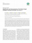 Research paper thumbnail of Identification and Characterisation of Seed-Borne Fungal Pathogens Associated with Maize (Zea mays L.)