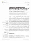 Research paper thumbnail of Genetically Obese Human Gut Microbiota Induces Liver Steatosis in Germ-Free Mice Fed on Normal Diet