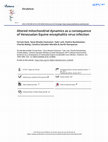 Research paper thumbnail of Altered mitochondrial dynamics as a consequence of Venezuelan Equine encephalitis virus infection