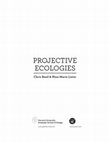 Research paper thumbnail of Promise to Progress in the Ecological Medium