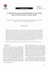 Research paper thumbnail of A comparative assessment of fruit formation in some orchid species from the southern Caucasus region