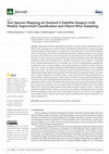 Research paper thumbnail of Tree Species Mapping on Sentinel-2 Satellite Imagery with Weakly Supervised Classification and Object-Wise Sampling