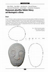 Research paper thumbnail of Kamenná plastika lidské hlavy od Hustopečí u Brna/Stone sculpture of a human head from Hustopeče near Brno