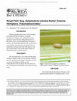 Research paper thumbnail of Royal Palm Bug, Xylastodoris luteolus Barber (Insecta: Hemiptera: Thaumastocoridae)