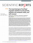 Research paper thumbnail of The imprinted gene Pw1/Peg3 regulates skeletal muscle growth, satellite cell metabolic state, and self-renewal