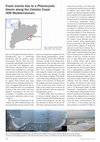 Research paper thumbnail of Foam events due to a Phaeocystis bloom along the Catalan coast (NW Mediterranean)