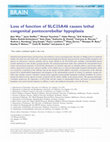 Research paper thumbnail of Loss of function of SLC25A46 causes lethal congenital pontocerebellar hypoplasia