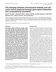 Research paper thumbnail of The interplay between chromosome stability and cell cycle control explored through gene-gene interaction and computational simulation