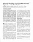 Research paper thumbnail of Syntrophin-dependent expression and localization of Aquaporin-4 water channel protein