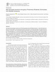 Research paper thumbnail of New karyotype records for the genus Proechimys (Rodentia: Echimyidae) from Brazilian Amazonia