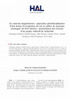 Research paper thumbnail of Le castrum languedocien : approches pluridisciplinaires d’une forme d’occupation du sol en milieu de moyenne montagne (X-XVI siècles) : présentation des travaux d’un projet collectif de recherche