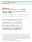 Research paper thumbnail of Dynamic disorganization of synaptic NMDA receptors triggered by autoantibodies from psychotic patients