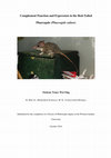 Research paper thumbnail of Complement function and expression in the red-tailed phascogale (Phascogale calura)