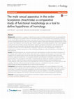 Research paper thumbnail of The male sexual apparatus in the order Scorpiones (Arachnida): a comparative study of functional morphology as a tool to define hypotheses of homology