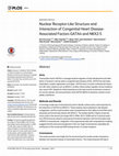 Research paper thumbnail of Nuclear Receptor-Like Structure and Interaction of Congenital Heart Disease-Associated Factors GATA 4 and NKX 2-5 Kinnunen