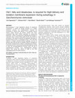 Research paper thumbnail of Ole1, fatty acid desaturase, is required for Atg9 delivery and isolation membrane expansion during autophagy in Saccharomyces cerevisiae