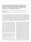 Research paper thumbnail of MUCILAGE-MODIFIED4 encodes a putative pectin biosynthetic enzyme developmentally regulated by APETALA2, TRANSPARENT TESTA GLABRA1, and GLABRA2 in the Arabidopsis seed coat