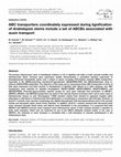 Research paper thumbnail of ABC transporters coordinately expressed during lignification of Arabidopsis stems include a set of ABCBs associated with auxin transport