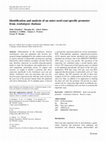 Research paper thumbnail of Identification and analysis of an outer-seed-coat-specific promoter from Arabidopsis thaliana