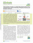 Research paper thumbnail of Hydroxyapatite formation in a single-stage anammox-based batch treatment system: Reactor performance, phosphorus recovery, and microbial community