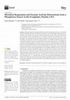 Research paper thumbnail of Microbial Respiration and Enzyme Activity Downstream from a Phosphorus Source in the Everglades, Florida, USA