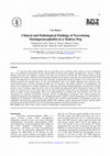 Research paper thumbnail of Clinical and pathological findings of necrotizing meningoencephalitis in a Maltese dog