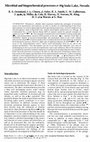 Research paper thumbnail of Microbial and biogeochemical processes in Big Soda Lake, Nevada