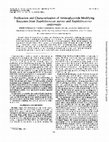 Research paper thumbnail of Purification and characterization of aminoglycoside-modifying enzymes from Staphylococcus aureus and Staphylococcus epidermidis