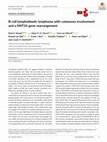 Research paper thumbnail of B-cell lymphoblastic lymphoma with cutaneous involvement and a KMT2A gene rearrangement