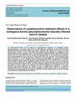 Research paper thumbnail of Observations of oxytetracycline treatment effects in a contagious bovine pleuropneumonia naturally infected herd in Zambia