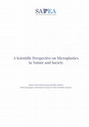 Research paper thumbnail of A Scientific Perspective on Microplastics in Nature and Society