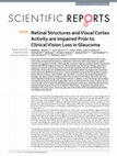 Research paper thumbnail of Retinal Structures and Visual Cortex Activity are Impaired Prior to Clinical Vision Loss in Glaucoma