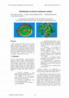 Research paper thumbnail of Alfabetização na Internet: analisando a prática