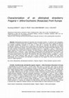 Research paper thumbnail of Characterization of an allotriploid strawberry Fragaria × bifera Duchesne (Rosaceae) from Europe