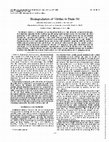 Research paper thumbnail of Biodegradation of nitriles in shale oil