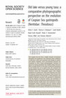 Research paper thumbnail of Old lake versus young taxa: a comparative phylogeographic perspective on the evolution of Caspian Sea gastropods (Neritidae: Theodoxus )