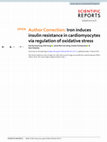 Research paper thumbnail of Author Correction: Iron induces insulin resistance in cardiomyocytes via regulation of oxidative stress