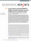 Research paper thumbnail of A rare autism-associated MINT2/APBA2 mutation disrupts neurexin trafficking and synaptic function