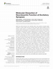 Research paper thumbnail of Molecular Dissection of Neurobeachin Function at Excitatory Synapses