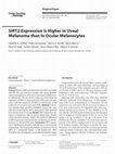 Research paper thumbnail of SIRT2 Expression Is Higher in Uveal Melanoma than In Ocular Melanocytes