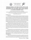 Research paper thumbnail of Hydrogeochemical and Stable Isotope Study of the Watershed of the "El Salado" Valley and Its Waters Infiltrating Into the Marine Shore Tailings Deposit at Chañaral (Northern Chile)