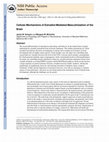 Research paper thumbnail of Cellular mechanisms of estradiol-mediated masculinization of the brain