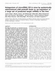 Research paper thumbnail of Antagonism of microRNA-122 in mice by systemically administered LNA-antimiR leads to up-regulation of a large set of predicted target mRNAs in the liver