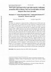 Research paper thumbnail of IGF-I gene expression in liver and white muscles confirming promotion effect of dietary NaCl on Growth indices of Giant sturgeon (Huso huso) juveniles