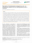 Research paper thumbnail of Description of Actinokineospora acnipugnans sp. nov., an actinomycete isolated from soil, showing potential uses in cosmetics