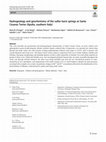 Research paper thumbnail of Hydrogeology and geochemistry of the sulfur karst springs at Santa Cesarea Terme (Apulia, southern Italy)